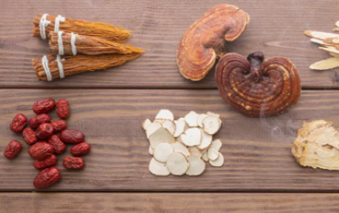 傳承藥食同源，衍生健康入選鐵皮石斛、西洋參、靈芝藥食同源首批試點(diǎn)